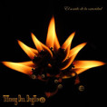 /album/fotogaleria/portada-el-sonido-de-la-oscuridad-jpg/